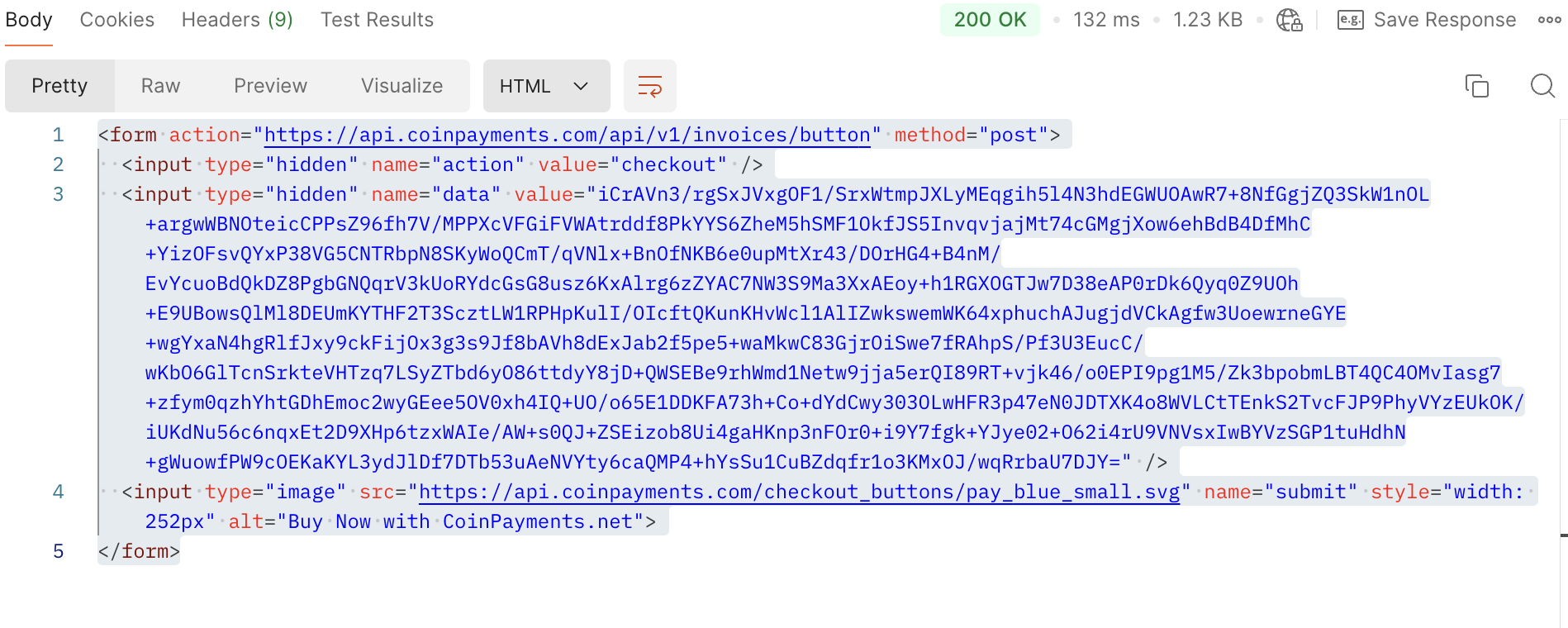 Pay Now Button HTML