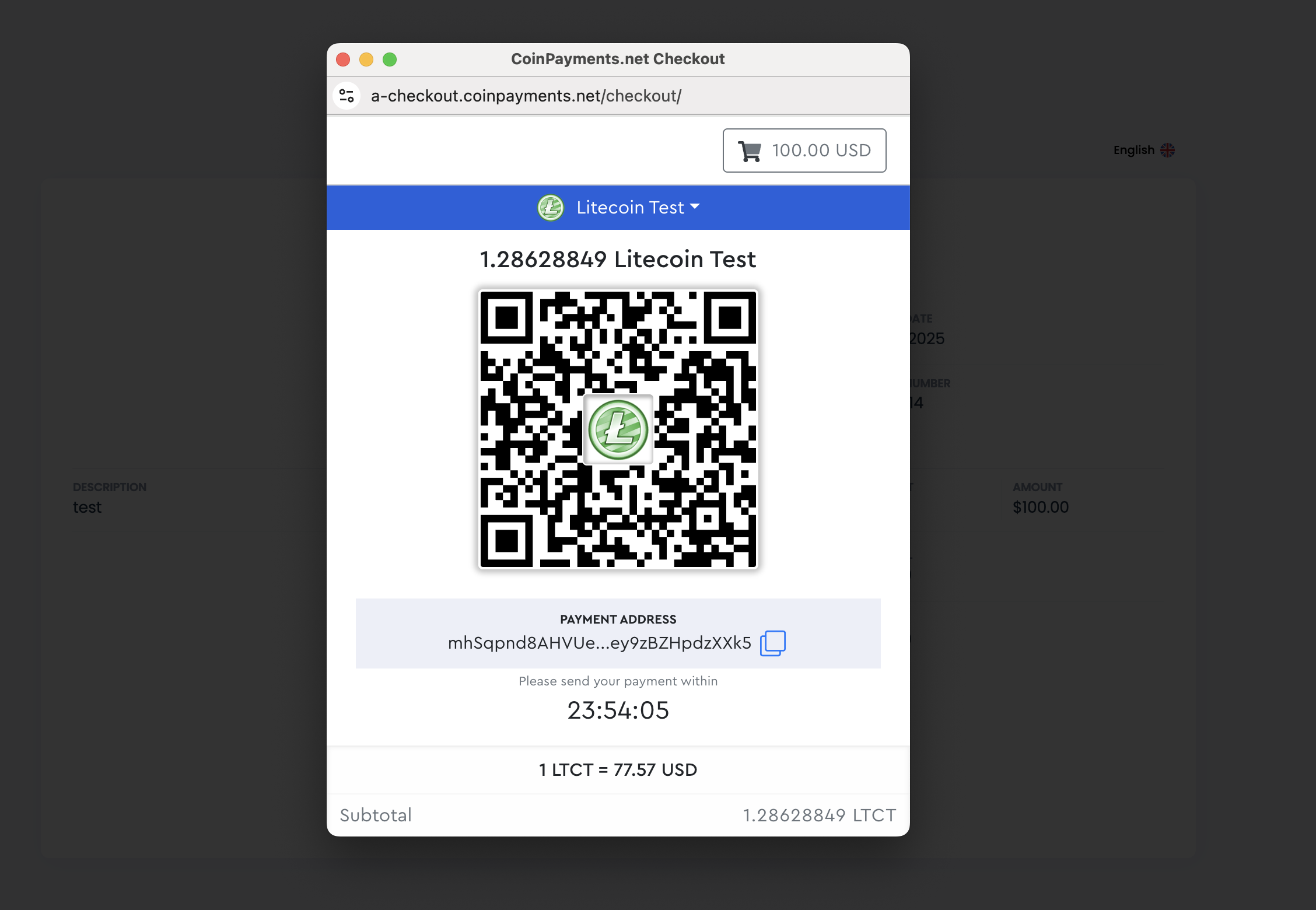 Test Checkout Pay